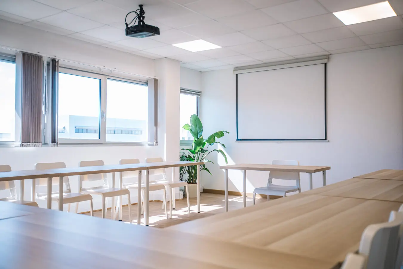 Salle Pic St Loup Millénaire Montpellier — réunion 15 à 30 personnes vue panoramique Salle de réunion naturelle bois Millénaire Montpellier — vidéoprojecteur HD 15 à 30 personnes vue Pic Saint-Loup
